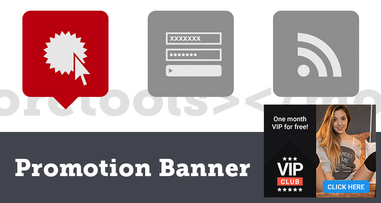 Graphic representation of promotional banners with various symbols, including cursor icon, registration form, RSS feed, and a sample advertisement banner for a VIP club.